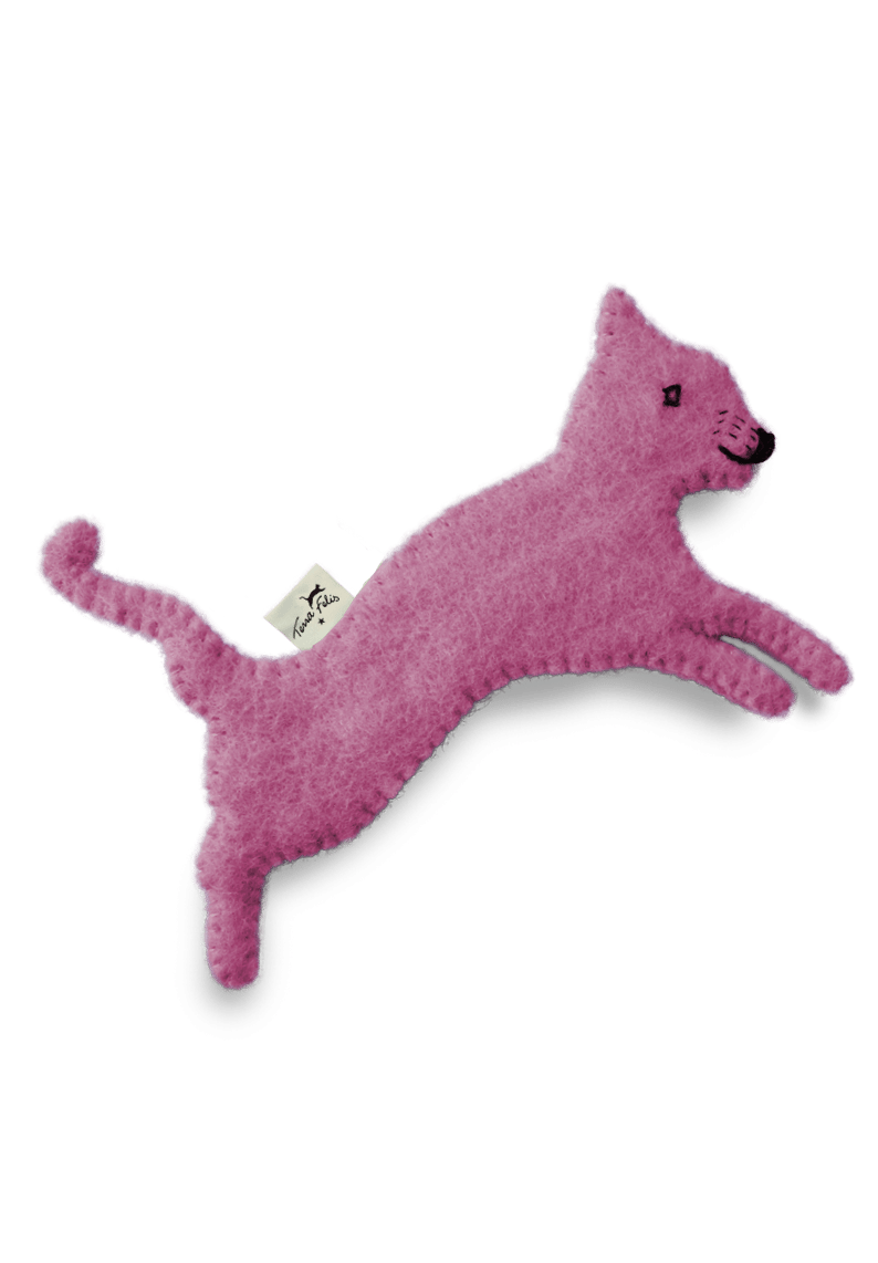 Gioco con erba gatta / rosa
