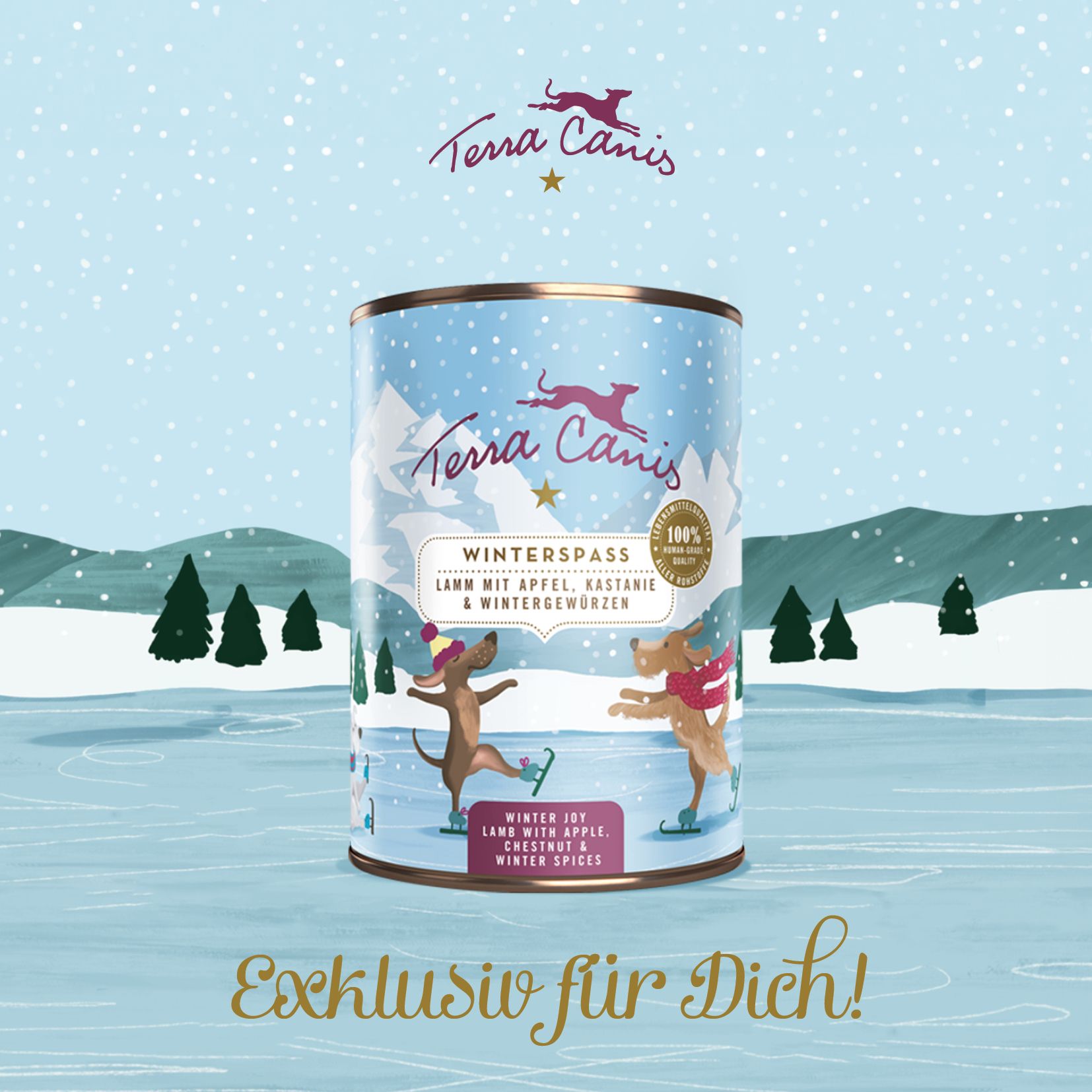 TC Fyler Abo-Kunden Winter Spaß Menü_EN