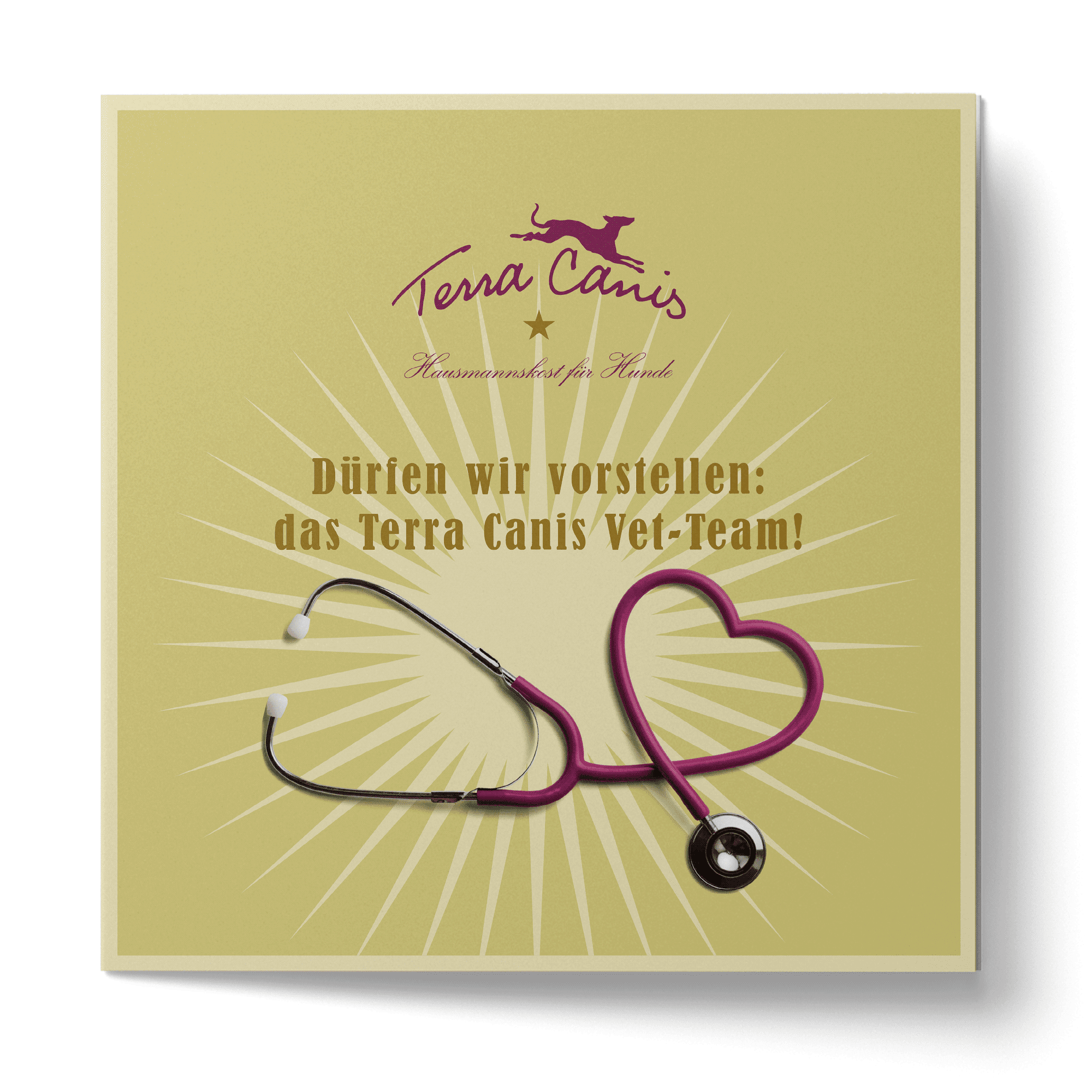 TC Tierarzt-Flyer, französische Version