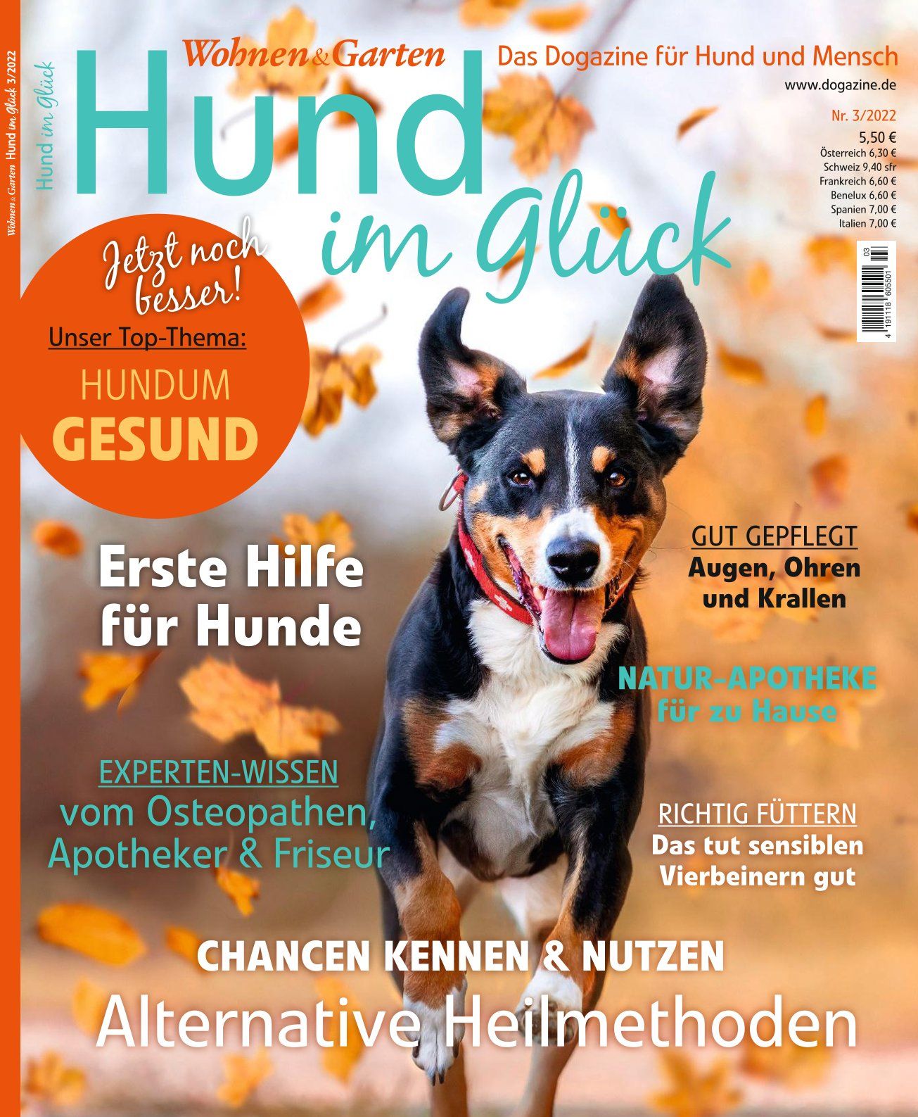 Hund im Glück, Deutschland