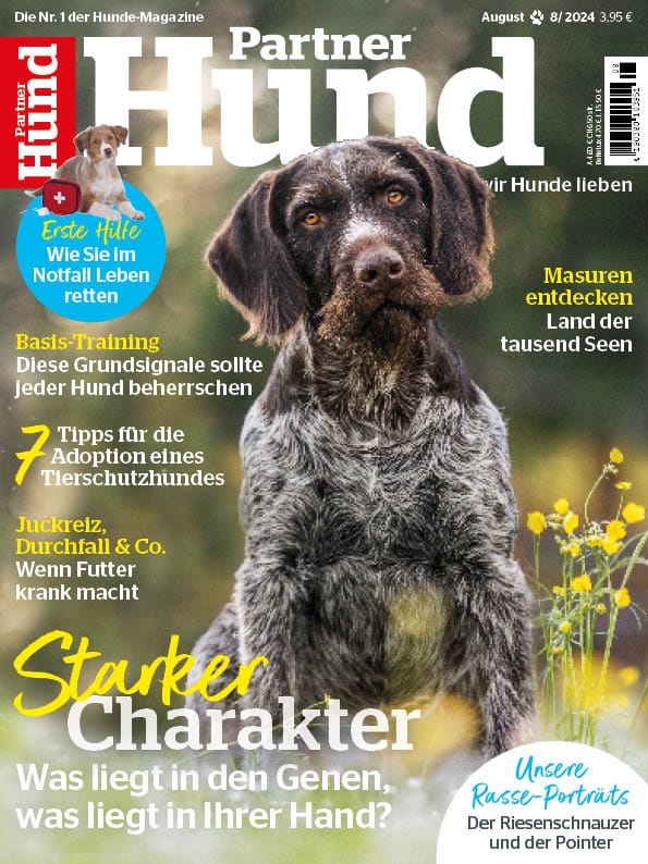 Partner Hund, Deutschland