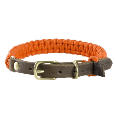 Collar – Pumpkin-coloured
