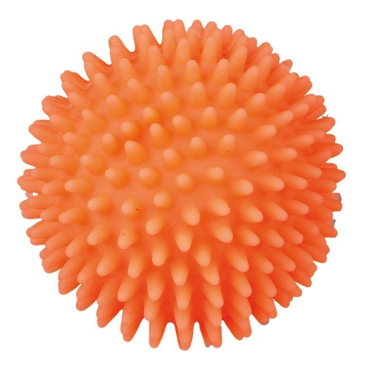 Spiky (Hedgehog) Ball
