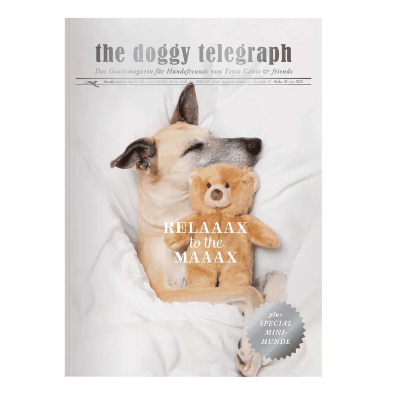 Doggy Telegraph Herbst/Winter 2020