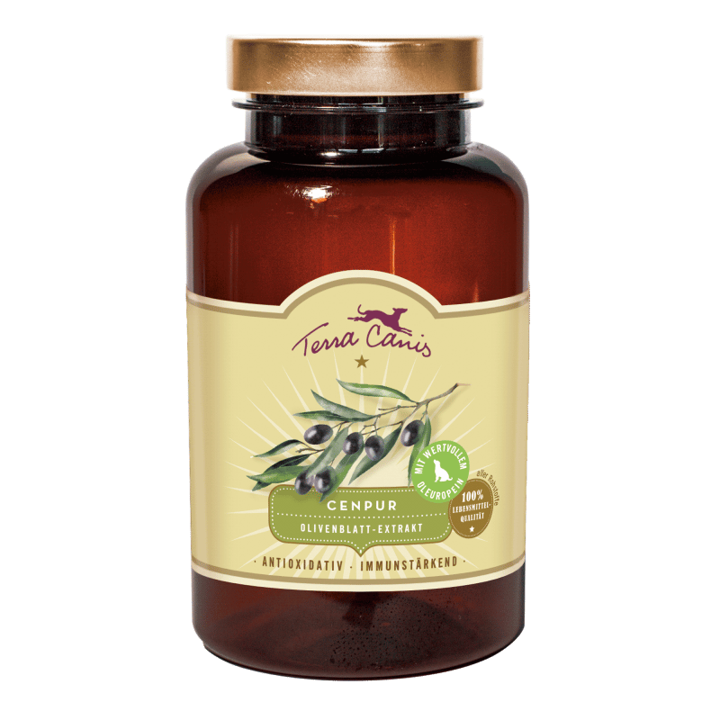 Extrait de feuille d'olivier – antioxydant et immunostimulant