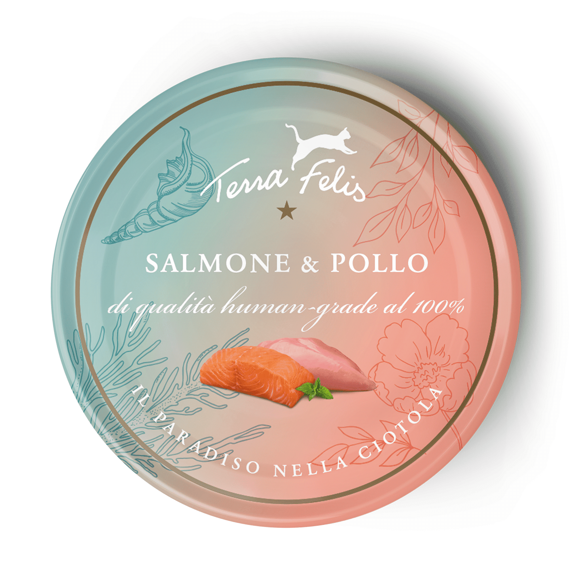 Salmone & Pollo