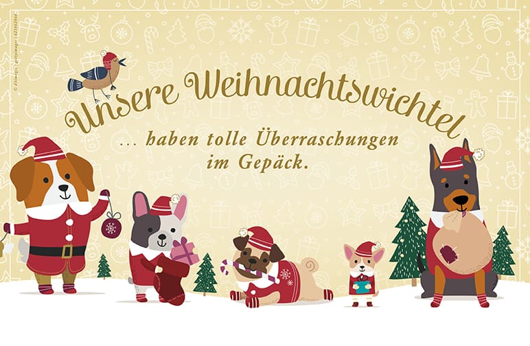 Weihnachtswichtel 2017