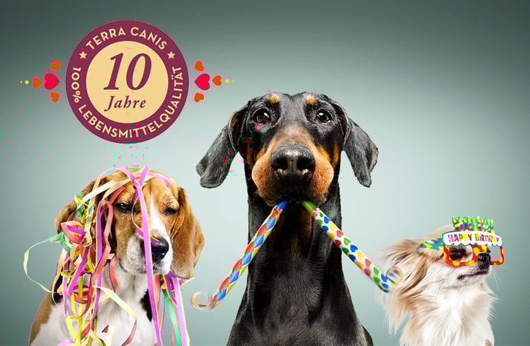 10 Jahre Terra Canis – 10 Jahre 100% Lebensmittelqualität aller Rohstoffe