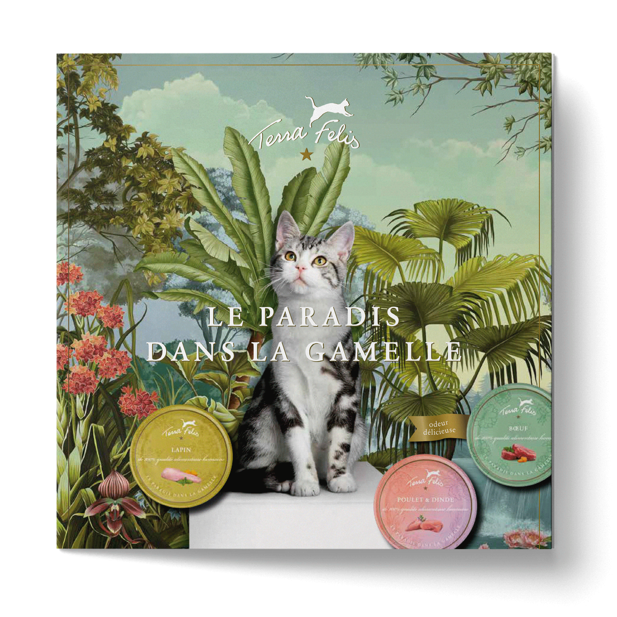 TF Das Paradies im Katzennapf-Flyer, französische Version