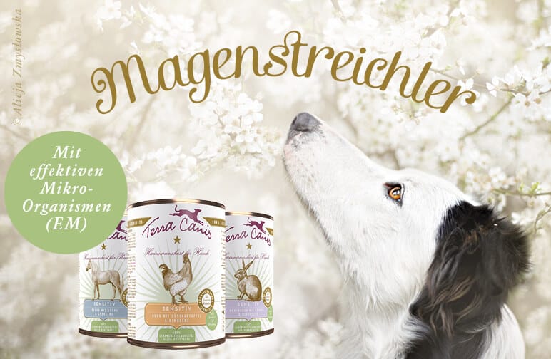 Neu: Die Terra Canis SENSITIV-Linie für verdauungssensible Hunde