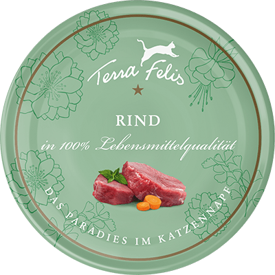 Katze - Rind 80g EN