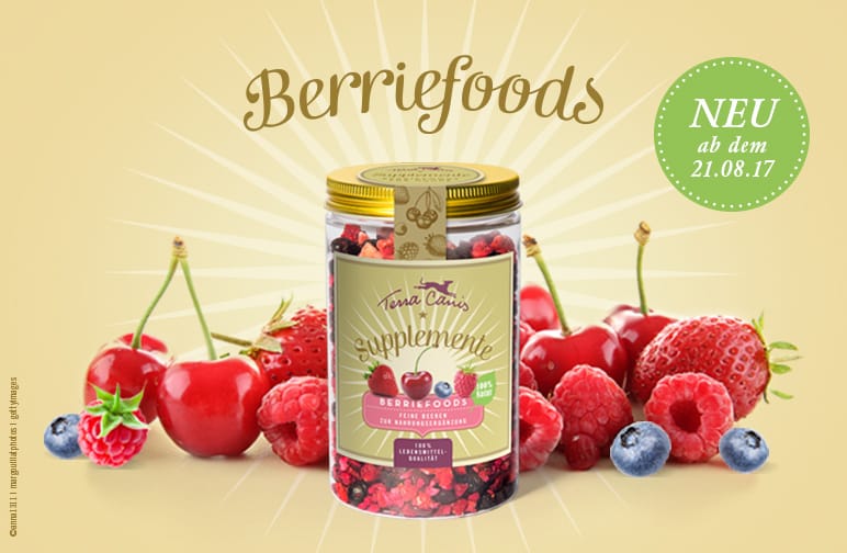 Terra Canis - Berriefoods