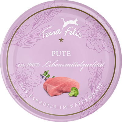 Katze - Rind 80g EN