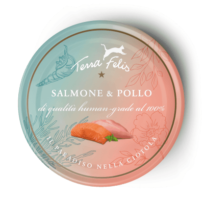 Salmone & Pollo