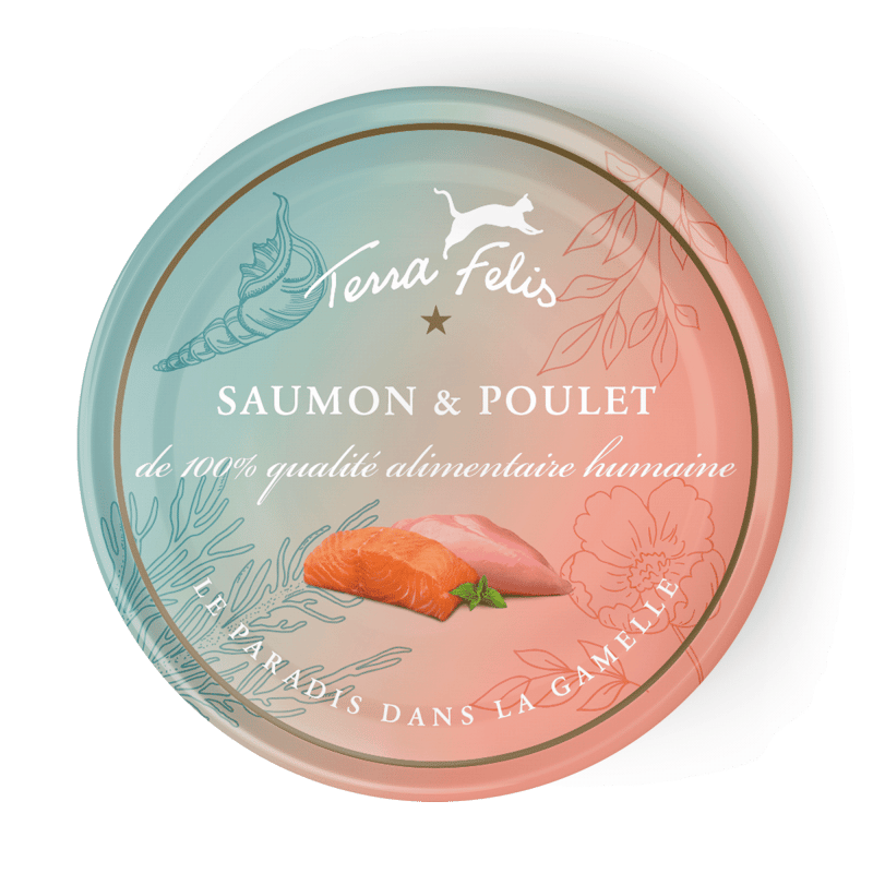 Saumon & Poulet