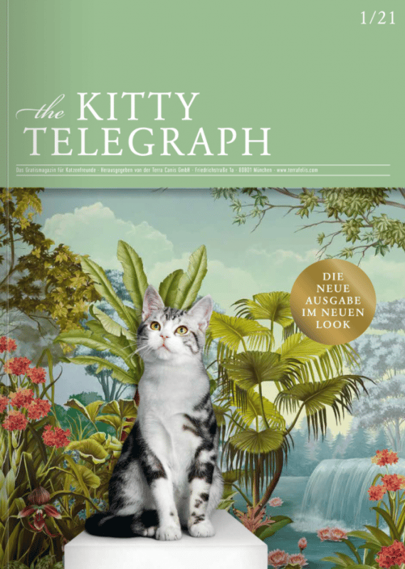 Kitty Telegraph Frühling/Sommer 2021